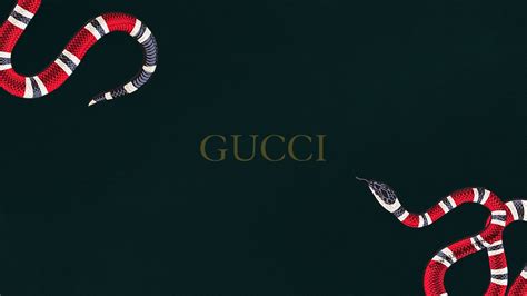 gucci fondos de pantalla pc